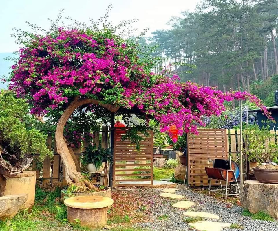Pine Hill Retreat Khe Sanh 2
