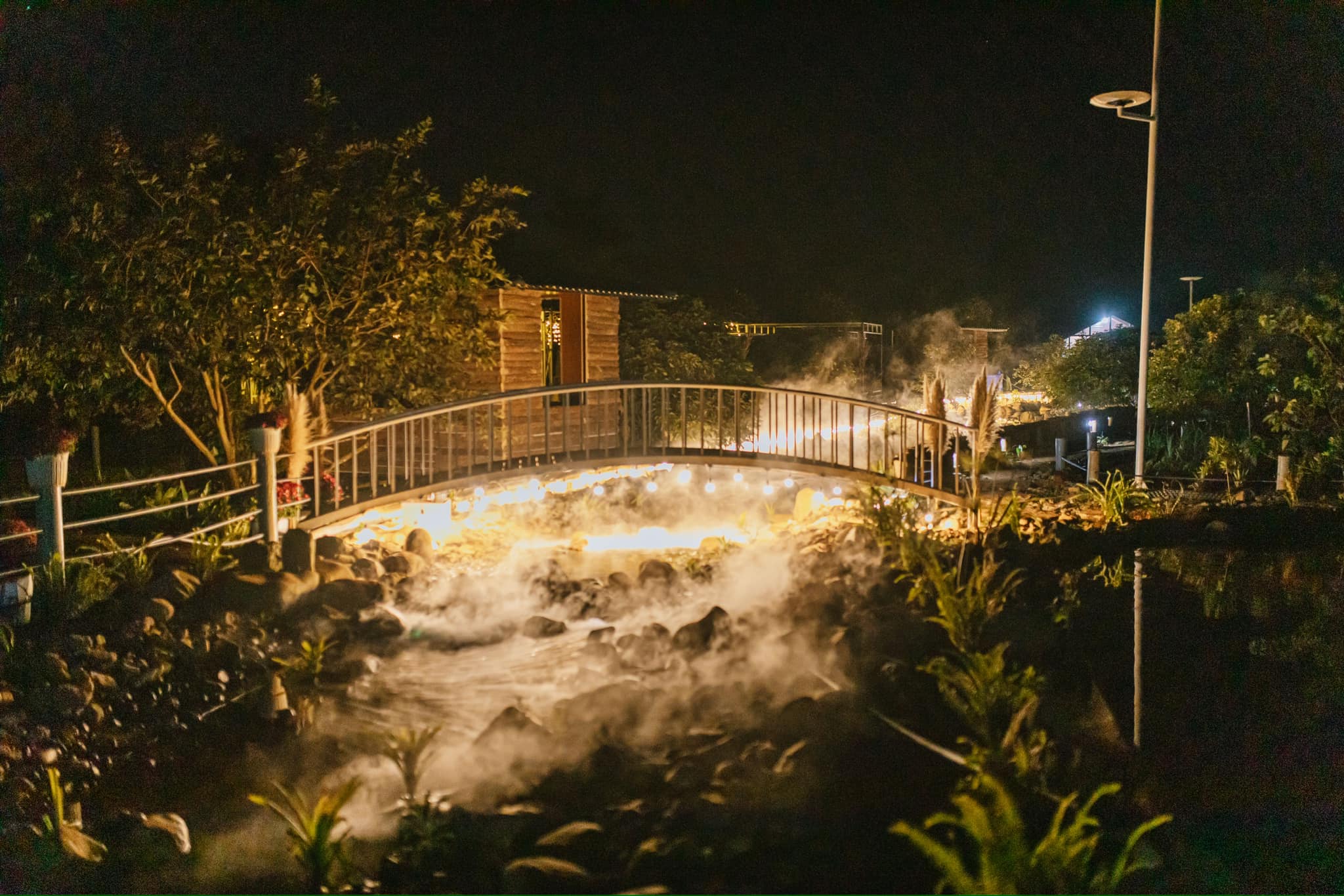 Koi Farm