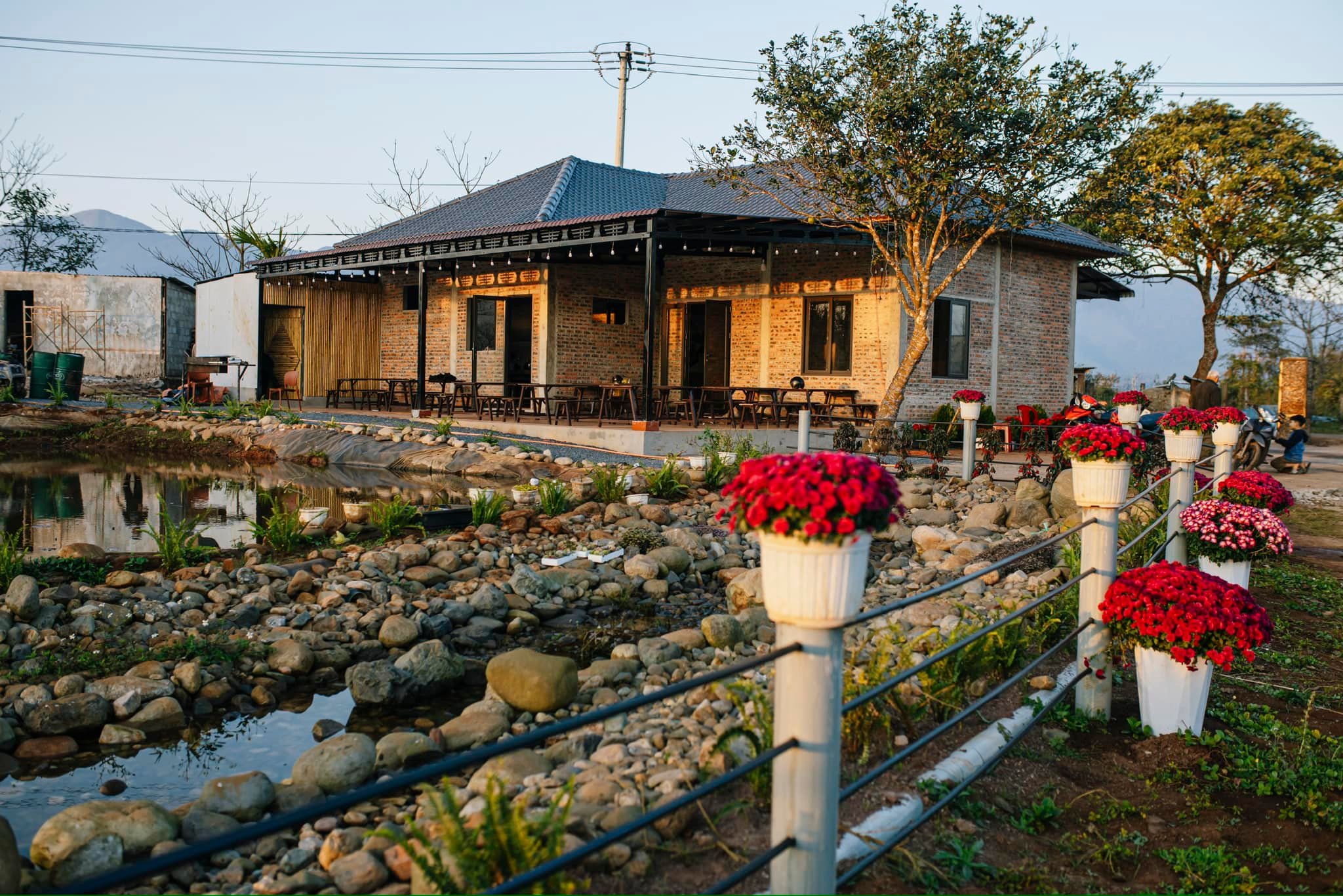 Koi Farm 3