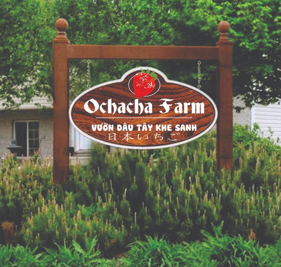 Ochacha farm