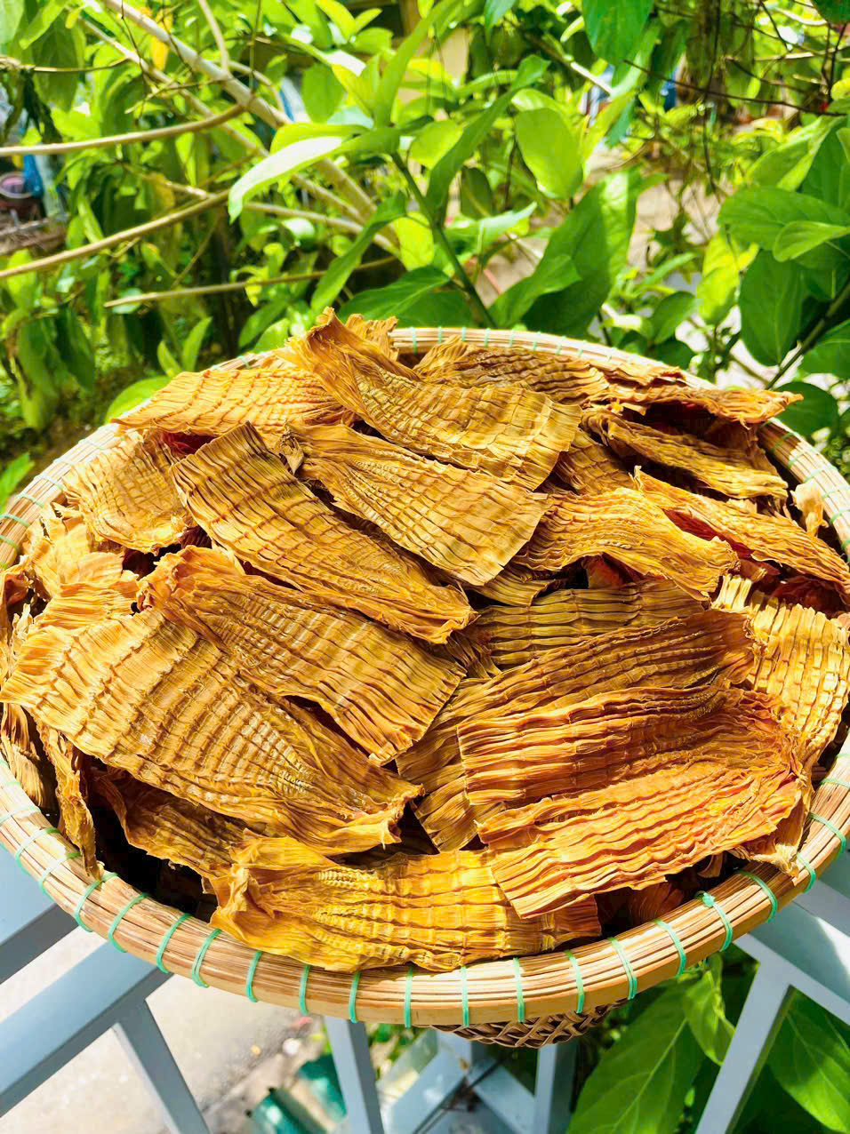 Măng AHO bản